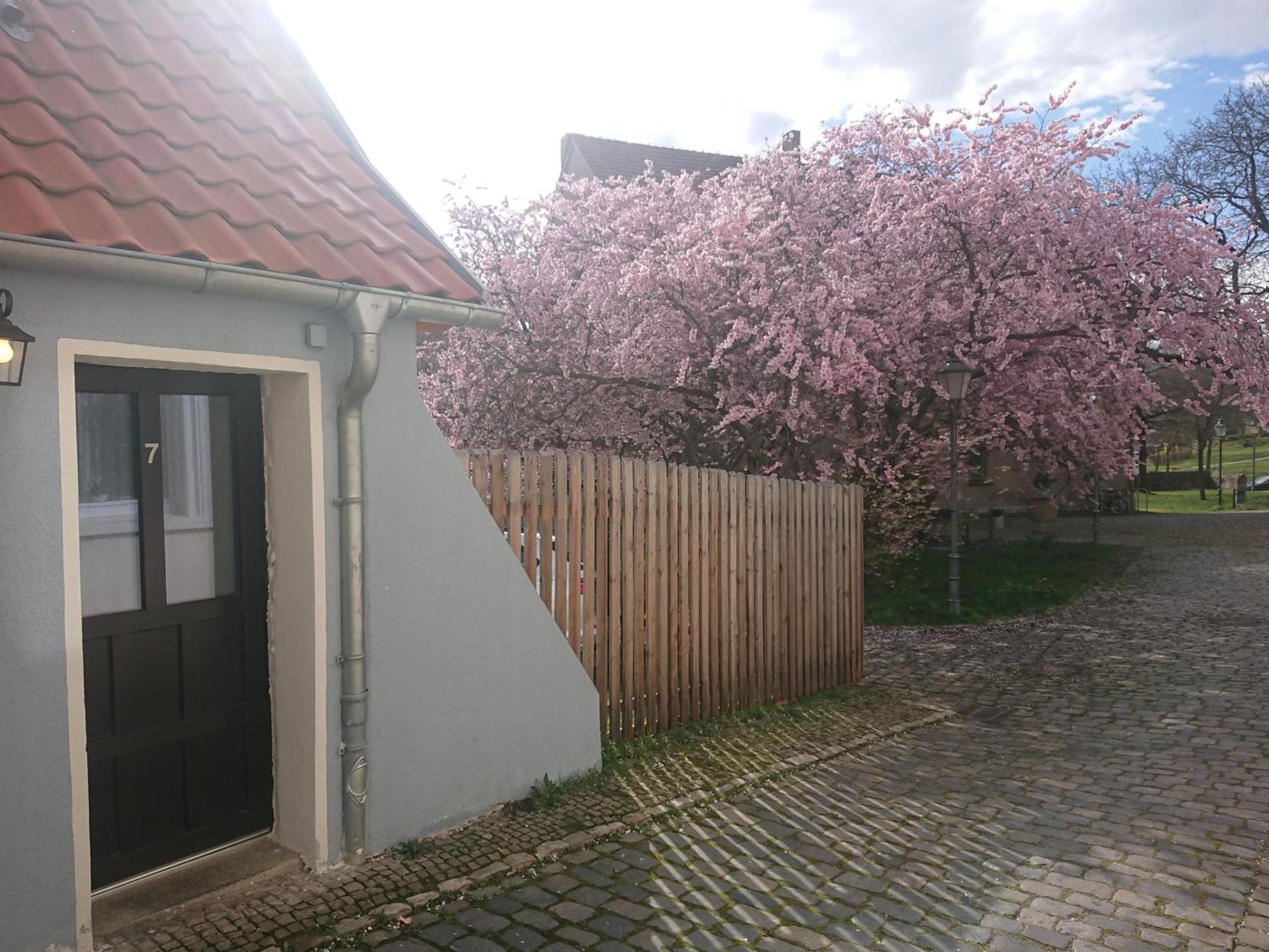 Ferienhaus Aschersleben Luaran gambar